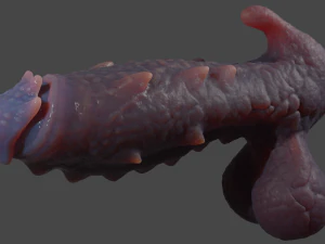Sinas Dragon Fantasy Premium Sextoy Rigged 3D Model