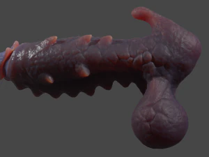 Sinas Dragon Fantasy Premium Sextoy Rigged 3D Model