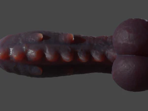Sinas Dragon Fantasy Premium Sextoy Rigged 3D Model