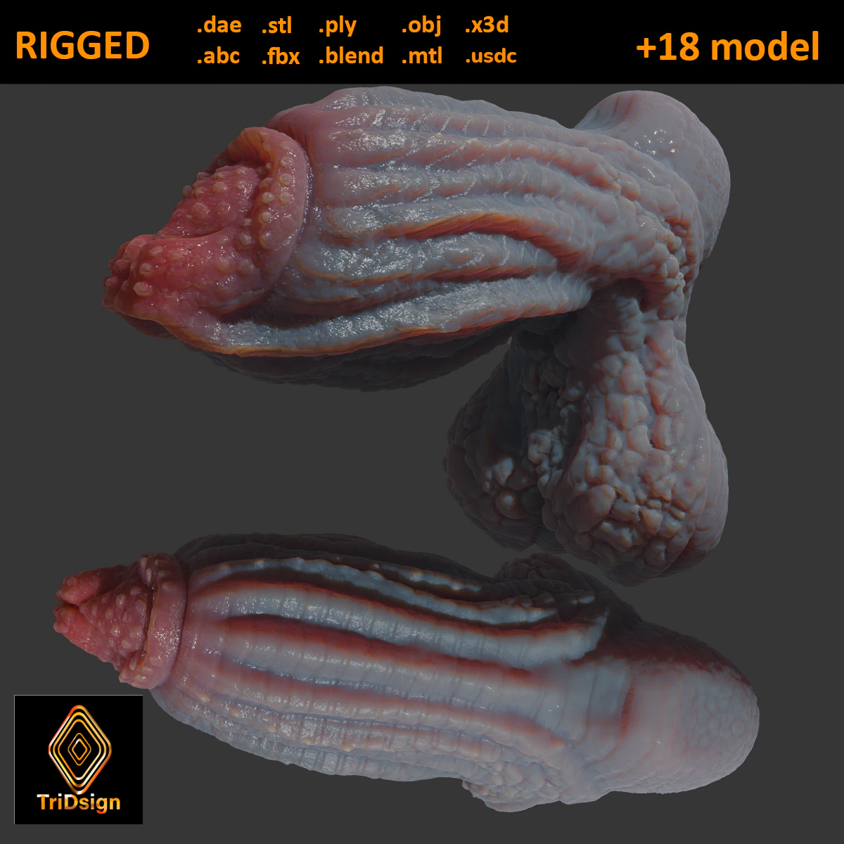 Drominor Dragon Fantasy Sextoy Rigged 3D Model .c4d .max .obj .3ds .fbx .stl .blend