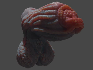 Drominor Dragon Fantasy Sextoy Rigged 3D Model