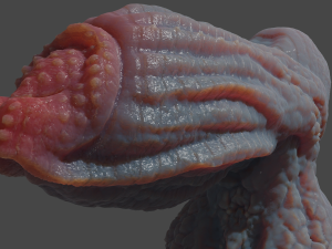 Drominor Dragon Fantasy Sextoy Rigged Modelo 3D