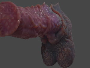 Dragon Horse Furry Fantasy Sextoy Rigged 3D-Modell
