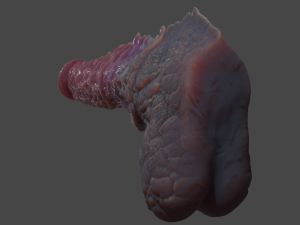 Dragon Horse Furry Fantasy Sextoy Rigged 3D-Modell