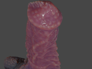 Dragon Horse Furry Fantasy Sextoy Rigged 3D-Modell