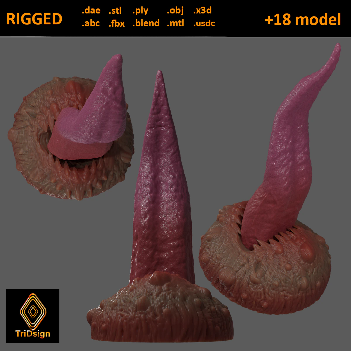 Sand Worm Tongue Fantasy Sextoy Rigged 3D Model .c4d .max .obj .3ds .fbx .stl .blend 