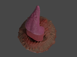 Sand Worm Tongue Fantasy Sextoy Rigged Modelo 3D