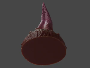 Sand Worm Tongue Fantasy Sextoy Rigged 3D Model