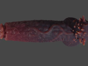 Estyanaxx Fantasia Dem&ocirc;nio Sextoy Rigged Modelo 3D