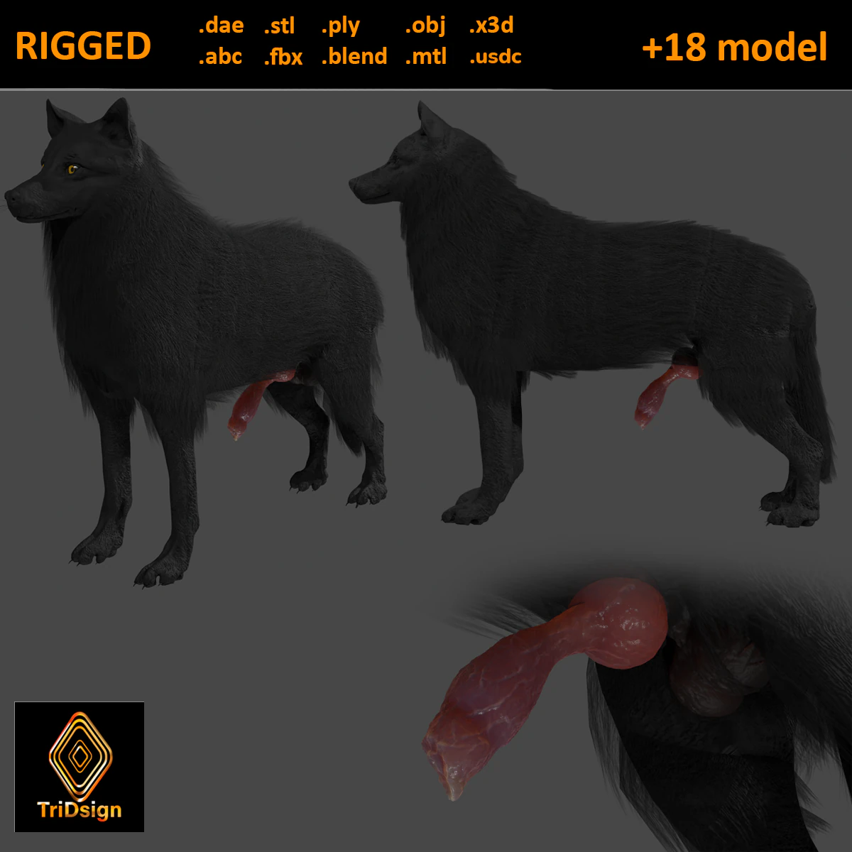 Wolf With Penis Rigged 3D Model .c4d .max .obj .3ds .fbx .stl .blend 