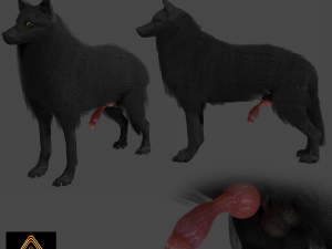 Wolf With Penis Rigged 3D Model