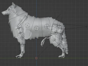 Wolf With Penis Rigged 3D Model