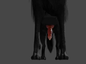 Wolf With Penis Rigged 3D Model