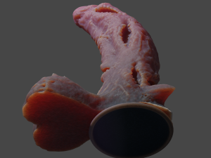Laughing Demon Penis Sextoy Rigged 3D Model
