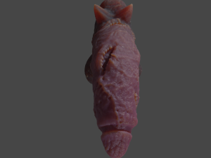 Laughing Demon Penis Sextoy Rigged 3D Model