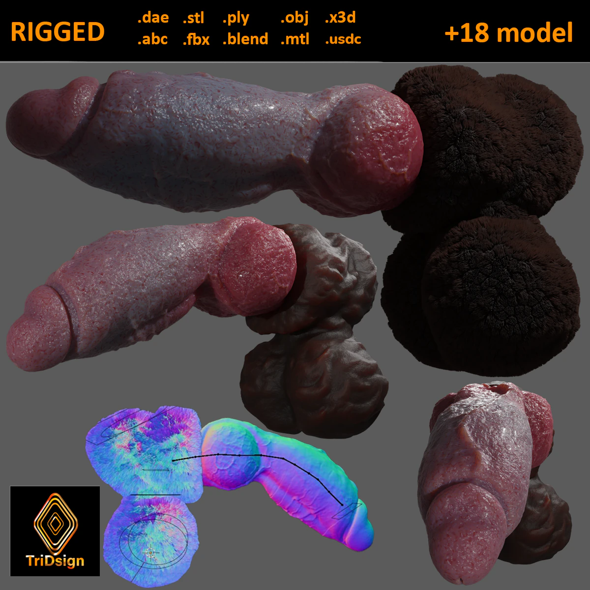Hairy Werewolf Fantasy Penis Sextoy Rigged 3D Model .c4d .max .obj .3ds .fbx .stl .blend 
