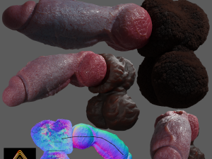 Hairy Werewolf Fantasy Penis Sextoy Rigged 3D Model