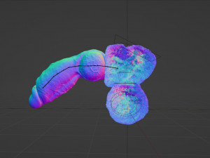 Hairy Werewolf Fantasy Penis Sextoy Rigged 3D 模型
