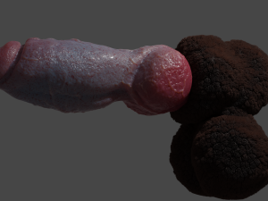 Hairy Werewolf Fantasy Penis Sextoy Rigged 3D 模型