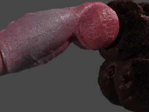 Hairy Werewolf Fantasy Penis Sextoy Rigged 3D Model