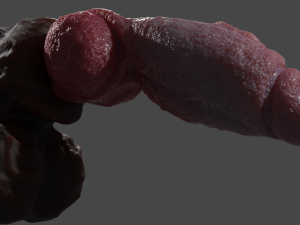 Hairy Werewolf Fantasy Penis Sextoy Rigged 3D 模型