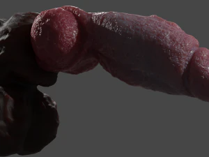 Hairy Werewolf Fantasy Penis Sextoy Rigged 3D Model