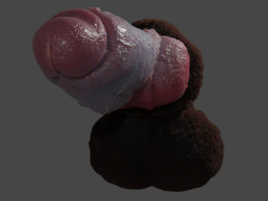 Hairy Werewolf Fantasy Penis Sextoy Rigged 3D Model