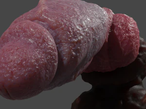 Hairy Werewolf Fantasy Penis Sextoy Rigged 3D Model