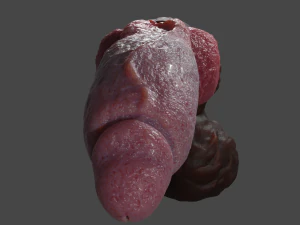 Hairy Werewolf Fantasy Penis Sextoy Rigged 3D Model