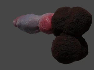 Hairy Werewolf Fantasy Penis Sextoy Rigged 3D Model