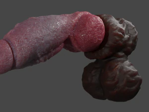 Hairy Werewolf Fantasy Penis Sextoy Rigged 3D Model