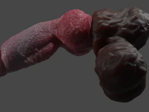 Hairy Werewolf Fantasy Penis Sextoy Rigged 3D Model