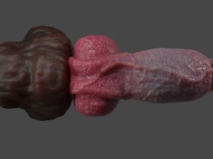 Hairy Werewolf Fantasy Penis Sextoy Rigged 3D 模型