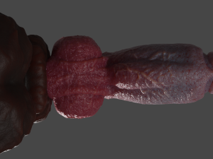 Hairy Werewolf Fantasy Penis Sextoy Rigged 3D 模型