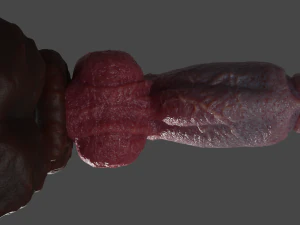 Hairy Werewolf Fantasy Penis Sextoy Rigged 3D Model