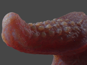 Fantasy Dragon Penis Sextoy Grimosh Rigged 3D Модель