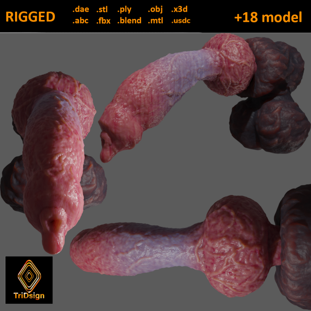 Veiny Werewolf Penis Rigged 3D Модель .c4d .max .obj .3ds .fbx .stl .blend