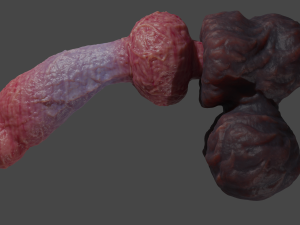 Veiny Werewolf Penis Rigged 3D Модель