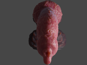 Veiny Werewolf Penis Rigged 3D Модель