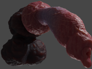 Veiny Werewolf Penis Rigged 3D Модель