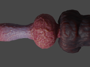 Veiny Werewolf Penis Rigged 3D Модель