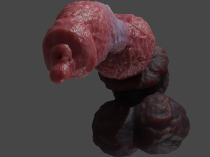 Veiny Werewolf Penis Rigged 3D Модель
