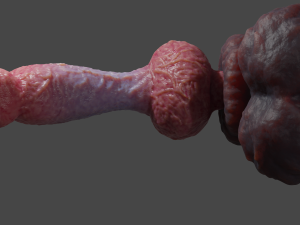 Veiny Werewolf Penis Rigged 3D Модель