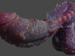 Fantasy Deep Sea Monster Penis Rigged 3D Model
