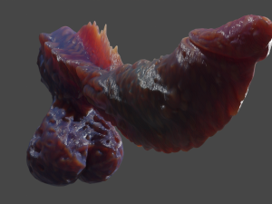 Fantasy Deep Sea Monster Penis Rigged 3D Model