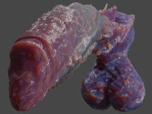 Fantasy Deep Sea Monster Penis Rigged 3D Model
