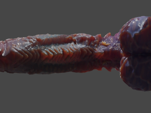 Fantasy Deep Sea Monster Penis Rigged 3D Model