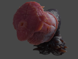 Fantasy Baphomet Demon Penis Sextoy Rigged 3D Model