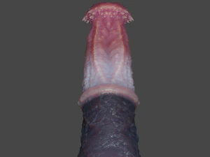 Fantasia Baphomet Demon Penis Sextoy Rigged Modelo 3D