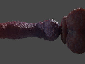 Zhorax Fantasy Sextoy Rigged 3D Модель